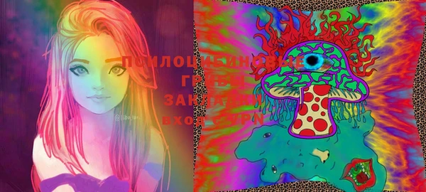 прущий лед Переславль-Залесский